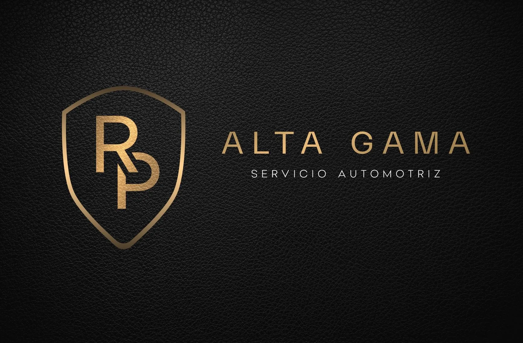 Alta Gama — Brand system · Identity